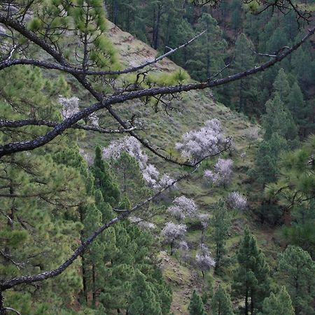 Casa Rural El Riachuelo Garafia Bagian luar foto