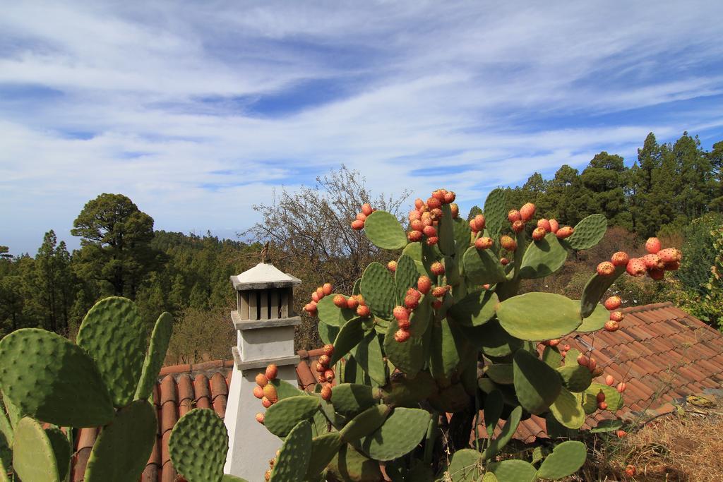 Casa Rural El Riachuelo Garafia Bagian luar foto